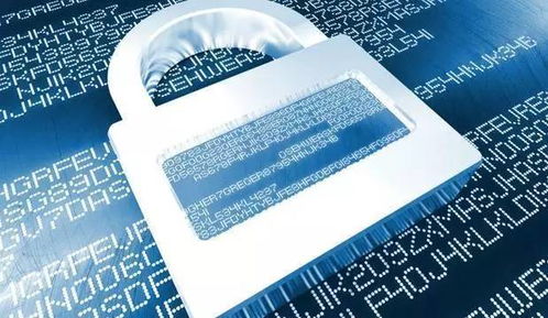 電商行業(yè)動(dòng)態(tài) 物流合作調(diào)整與打假維權(quán)新進(jìn)展